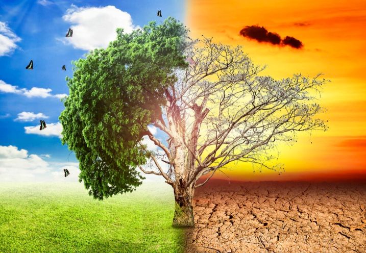 Biến Đổi Khí Hậu Đang Tái Định Hình Địa Lý Trái Đất Ra Sao?