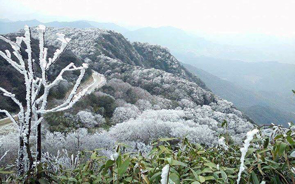 Tuyết rơi ở Cao Bằng (Đỉnh Phia Oắc)